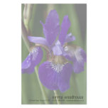 Blue Siberian Iris Stationery Paper