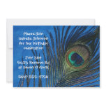 Blue Single Peacock Feather Birthday Announcements
