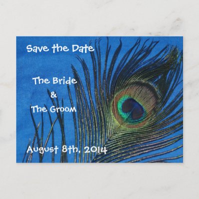 Blue Single Peacock Feather Save the Date Postcard