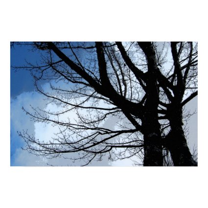 Blue Skies & Alder Tree Fractal print