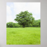 Blue sky and field of grass print