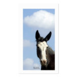 Blue Sky and Roan Bald Face Mule business cards