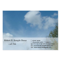 blue sky and trees business card template