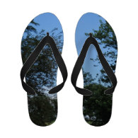 Blue Sky and Trees Flip Flop Sandals