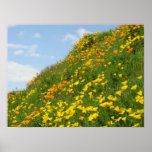 Blue Sky art prints White Clouds Poppy Flowers