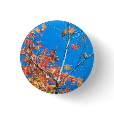 Blue Sky Autumn Tree Buttons by FallSeason