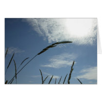 Blue Sky cards
