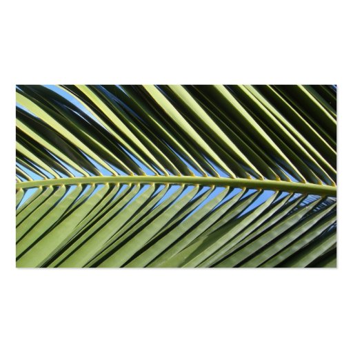 Blue Sky, Clouds, Palm Frond Business Cards (back side)