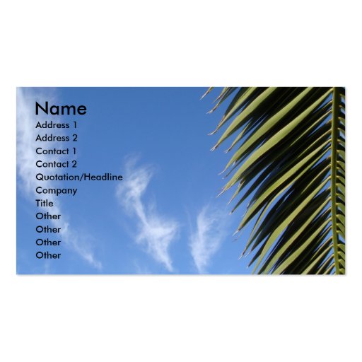 Blue Sky, Clouds, Palm Frond Business Cards (front side)