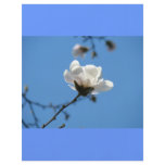 Blue Sky custom Flyer paper Spring Magnolia Flower