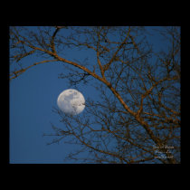 Blue Sky Moon - Print 1 of 10 posters