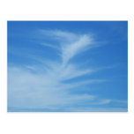 Blue Sky Nature Postcard