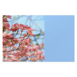Blue Sky Stationery custom Pink Dogwood Flowers