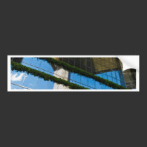 Blue Sky Thinking bumper stickers