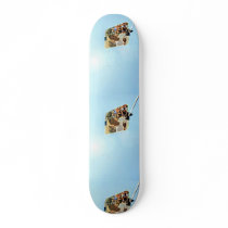 Blue Skys and Green Lights skateboards
