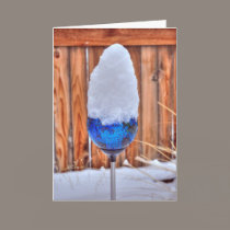 Blue Snowcone cards