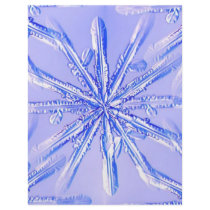 blue_snowflake flyers