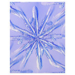 blue_snowflake flyers