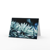 Blue Spiky Plant Greeting Card 1 by MarbiaStudiosPrints Blue Spiky Plant Greeting Card 1