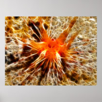 Blue Spotted Urchin Posters