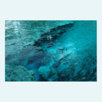 Blue Spring Print posters