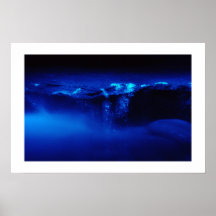 Blue Spritz Print