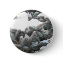 blue spruce buttons by nmpics blue spruce buttons