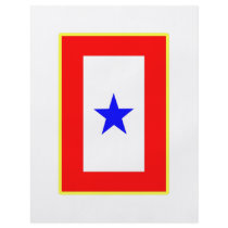 Blue Star Mother flyers