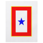 Blue Star Mother flyers