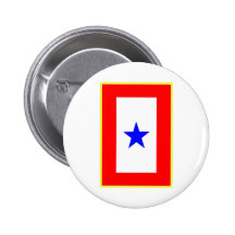 Blue Star Mother Pin