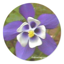 Blue Star MS Sticker by ohgreeting Blue Star MS Sticker