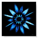 blue star posters by jzombie blue star posters