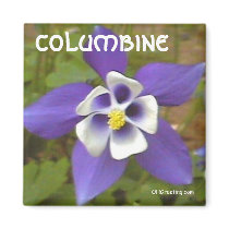 Blue Star Square Magnet by ohgreeting Blue Star Square Magnet
