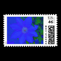 Blue Starflower Urchin Postage postage