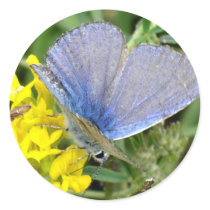 blue stickers