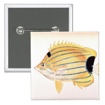Blue-Striped Butterflyfish Pin