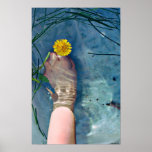blue summer posters