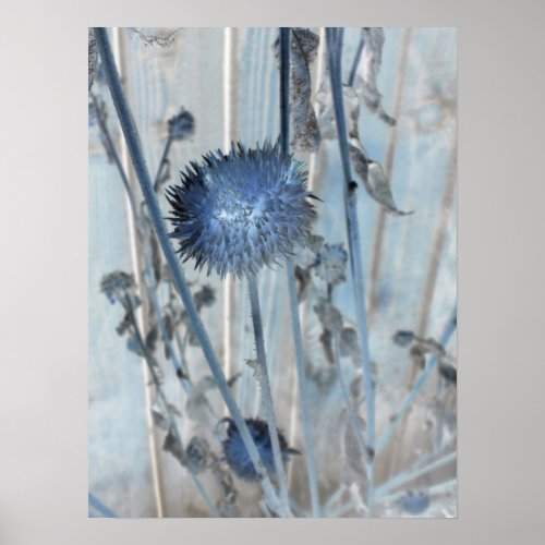 blue sunflower print