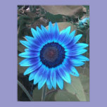 Blue Sunflower Poster posters