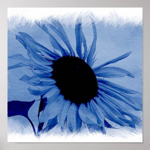 Blue Sunflower Print print