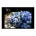 Blue Sunrise posters by Jmkjj2314 Blue Sunrise posters