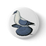 Blue Swallow Pigeon Pinback Buttons