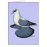 Blue Swallow Pigeon Cards