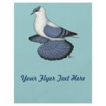 Blue Swallow Pigeon Flyer Design