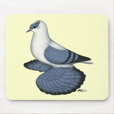 Blue Swallow Pigeon Mousepads by diane_jacky