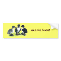 Blue Swedish Ducklings Bumper Sticker