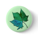 Blue Sycamore Pins