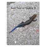 Blue Tailed Skink notebook