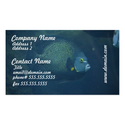 Blue Tang Fish Business Card (front side)
