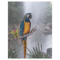 Blue Throated Macaw with Waterfall flyers